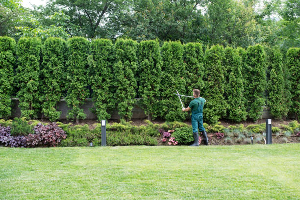 Best Arborist Consultation Services  in Monroe, IA